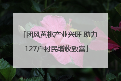 团风黄桃产业兴旺 助力127户村民增收致富