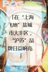 在“上海飞地”盐城市大丰区，“沪苏”品牌日益响亮