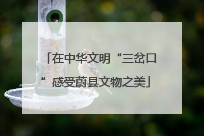 在中华文明“三岔口”感受蔚县文物之美
