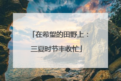 在希望的田野上：三夏时节丰收忙