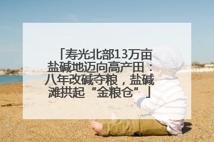寿光北部13万亩盐碱地迈向高产田：八年改碱夺粮，盐碱滩拱起“金粮仓”