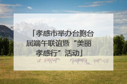孝感市举办台胞台属端午联谊暨“美丽孝感行”活动