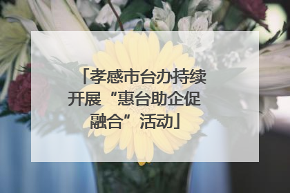孝感市台办持续开展“惠台助企促融合”活动