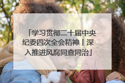 学习贯彻二十届中央纪委四次全会精神丨深入推进风腐同查同治