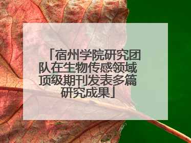 宿州学院研究团队在生物传感领域顶级期刊发表多篇研究成果