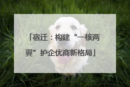 宿迁：构建“一核两翼”护企优商新格局