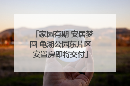 家园有期 安居梦圆 龟湖公园东片区安置房即将交付