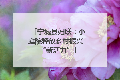 宁城县妇联：小庭院释放乡村振兴“新活力”
