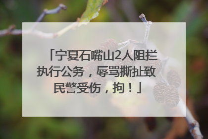 宁夏石嘴山2人阻拦执行公务，辱骂撕扯致民警受伤，拘！