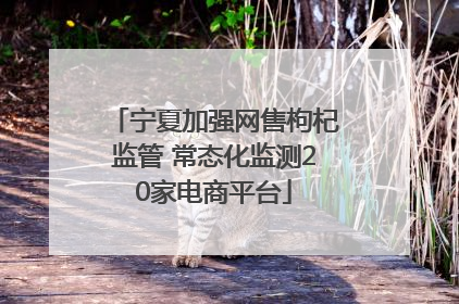 宁夏加强网售枸杞监管 常态化监测20家电商平台