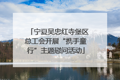 宁夏吴忠红寺堡区总工会开展“携手童行”主题慰问活动
