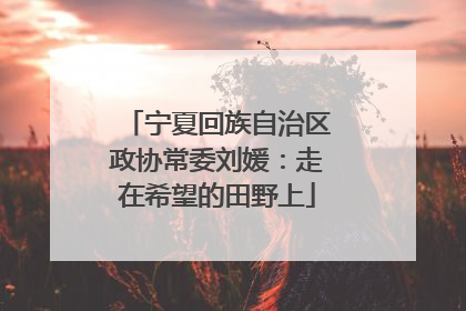 宁夏回族自治区政协常委刘媛：走在希望的田野上