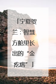宁夏贺兰：智慧方舱里长出的“金疙瘩”