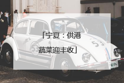 宁夏：供港蔬菜迎丰收