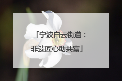 宁波白云街道：非遗匠心助共富