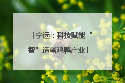 宁远：科技赋能“智”造蛋鸡鸭产业