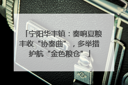 宁阳华丰镇：奏响夏粮丰收“协奏曲”，多举措护航“金色粮仓”