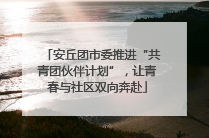 安丘团市委推进“共青团伙伴计划”，让青春与社区双向奔赴