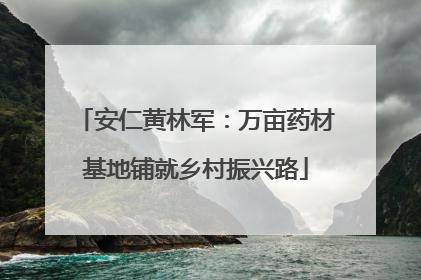 安仁黄林军：万亩药材基地铺就乡村振兴路