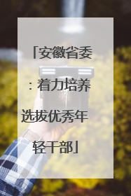 安徽省委：着力培养选拔优秀年轻干部