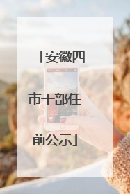 安徽四市干部任前公示