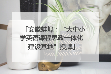 安徽蚌埠：“大中小学英语课程思政一体化建设基地”授牌