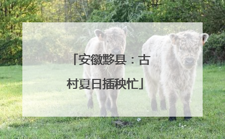 安徽黟县：古村夏日插秧忙