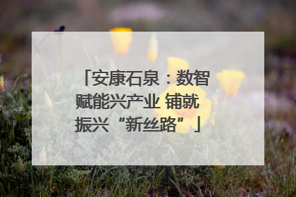 安康石泉：数智赋能兴产业 铺就振兴“新丝路”