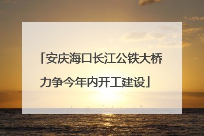 安庆海口长江公铁大桥力争今年内开工建设