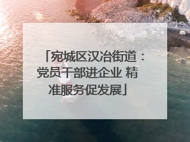 宛城区汉冶街道：党员干部进企业 精准服务促发展