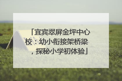 宜宾翠屏金坪中心校：幼小衔接架桥梁，探秘小学初体验