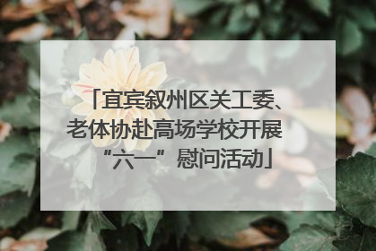 宜宾叙州区关工委、老体协赴高场学校开展“六一”慰问活动