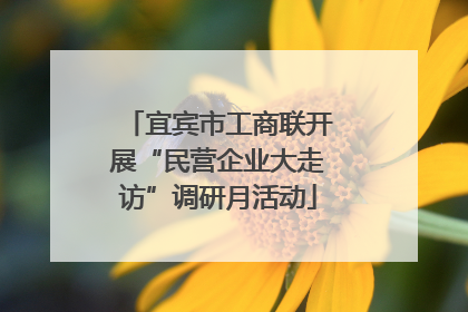 宜宾市工商联开展“民营企业大走访”调研月活动