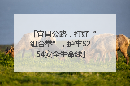 宜昌公路：打好“组合拳”，护牢S254安全生命线
