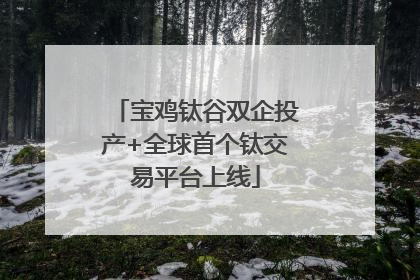 宝鸡钛谷双企投产+全球首个钛交易平台上线