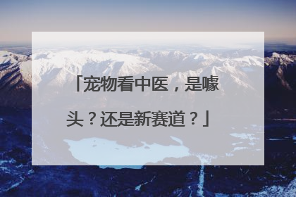 宠物看中医，是噱头？还是新赛道？