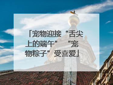 宠物迎接“舌尖上的端午” “宠物粽子”受喜爱