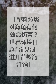 塑料垃圾对海龟有何致命伤害？世界环境日总台记者走进开普敦海洋馆