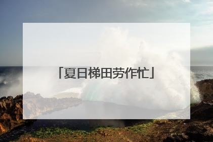 夏日梯田劳作忙