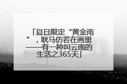 夏日限定“黄金雨”，耿马仿若在画里——有一种叫云南的生活之365天