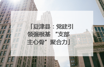 夏津县：党建引领强根基 “支部主心骨”聚合力