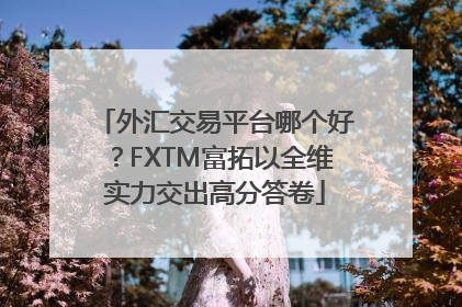 外汇交易平台哪个好？FXTM富拓以全维实力交出高分答卷