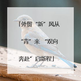 外贸“新”风从“青”来 “双向奔赴”启新程