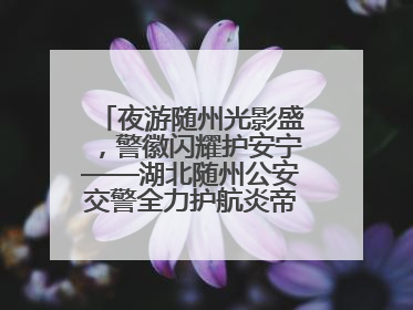 夜游随州光影盛，警徽闪耀护安宁——湖北随州公安交警全力护航炎帝故里寻根节夜游活动侧记