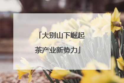 大别山下崛起茶产业新势力