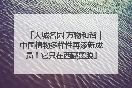 大城名园 万物和谐｜中国植物多样性再添新成员！它只在西藏墨脱