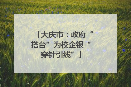 大庆市：政府“搭台”为校企银“穿针引线”
