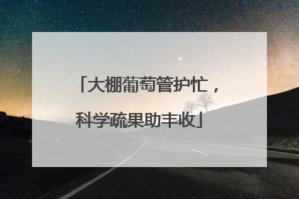 大棚葡萄管护忙，科学疏果助丰收