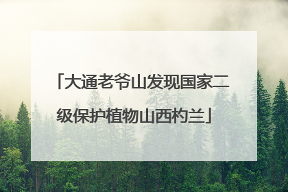 大通老爷山发现国家二级保护植物山西杓兰