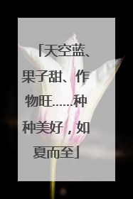 天空蓝、果子甜、作物旺……种种美好，如夏而至